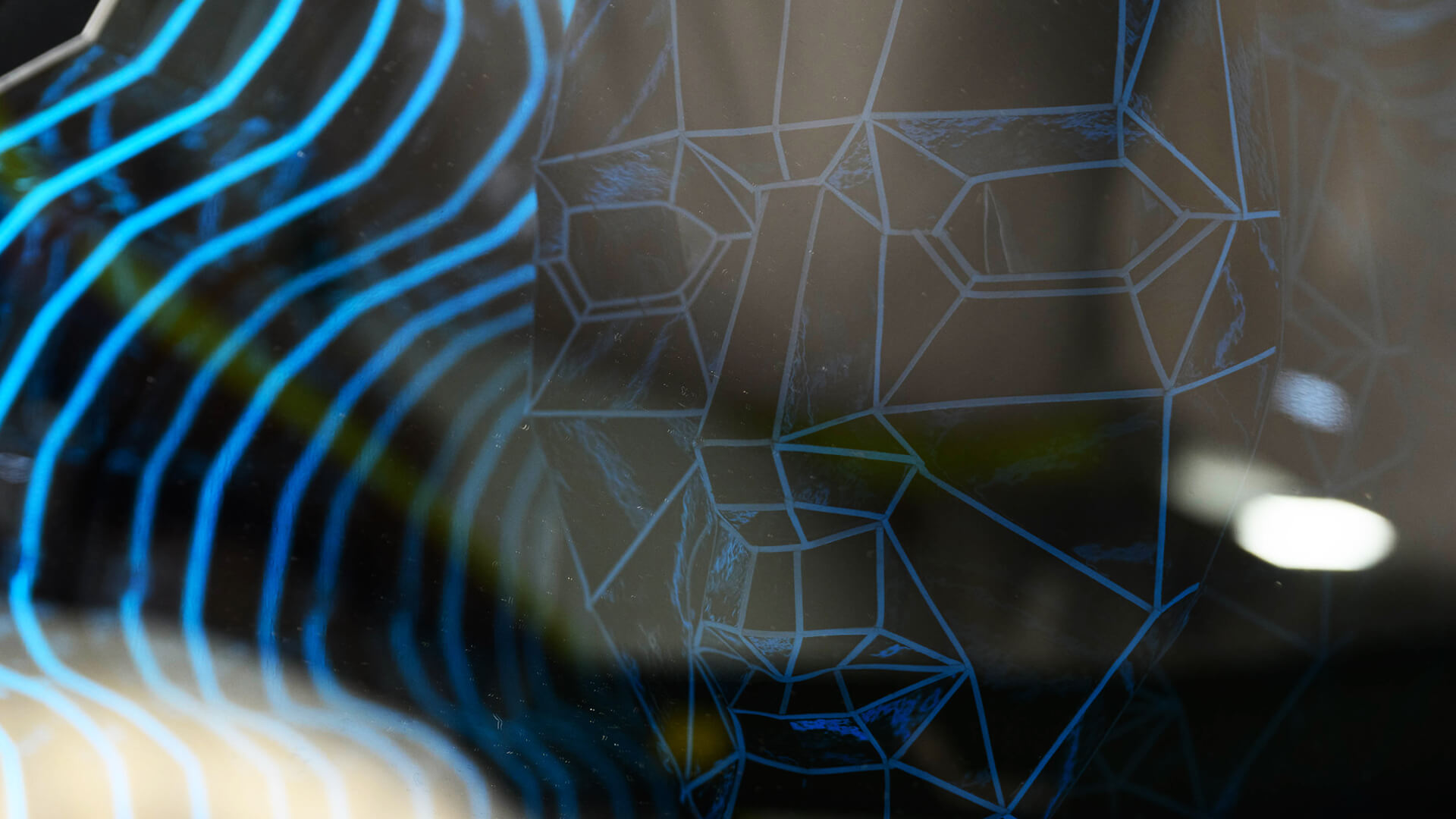 Astray, Paula Fernandez Mederos, United States